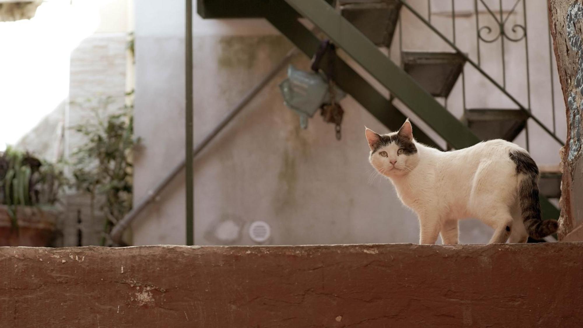 شقة Casa Nel Borgo Dei Gatti سيتارا المظهر الخارجي الصورة